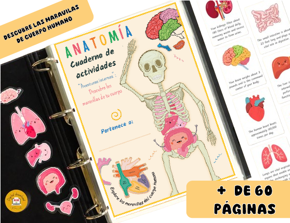 Anatomía - Libro de Actividades